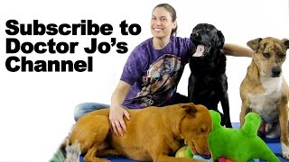 Subscribe to Doctor Jo's Channel - Ask Doctor Jo