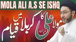 Maula Ali (A.S) Ka Karbala Mein Qayam ||  Syed Shahenshah Hussain Naqvi || 2024