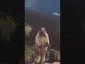 ø ø ùšù ø ø øoù ùšø ù ù ø ø ù ø ù ù ùšø ùšø ø ø ùšù ø ø øoù ùšø ù ù ø ø ù ø ù ù ùšø ùšø
