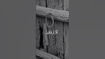 تلاوة طيبة للشيخ ماهر المعيقلي #quran