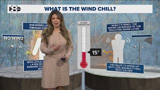 Why does it feel so cold outside? Here's how wind chill works