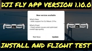 DJI Fly App Update 1.10.0. Mini 2 Install And Flight Test.