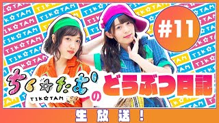 「ちく☆たむのどうぶつ日記 生配信！！」#11