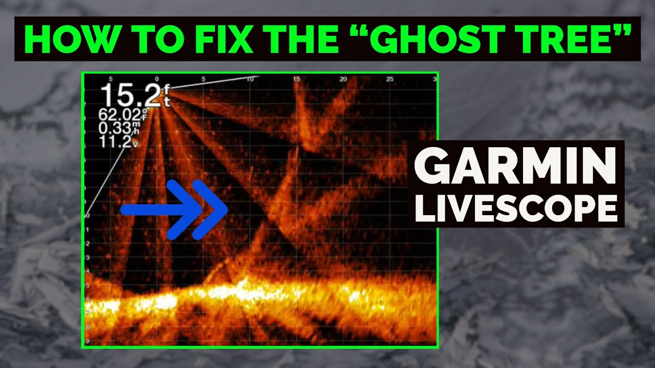 3 TIPS on How to Eliminate the Ghost Tree - Garmin Livescope Settings Ghost Reject