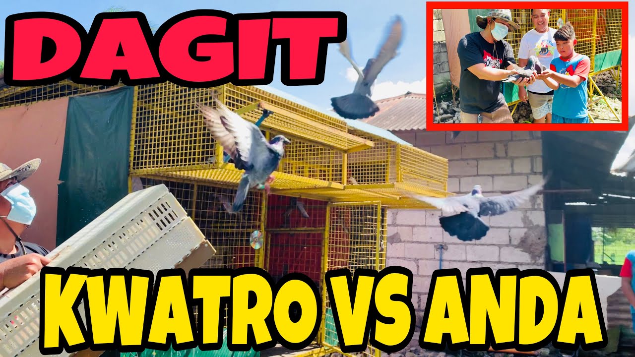 DAGIT NATEN KALAPATI NG MACLON BROTHERS TV | KWATRO VS ANDA | PUNONG MINISTRO LOFT TV | 01/12/21