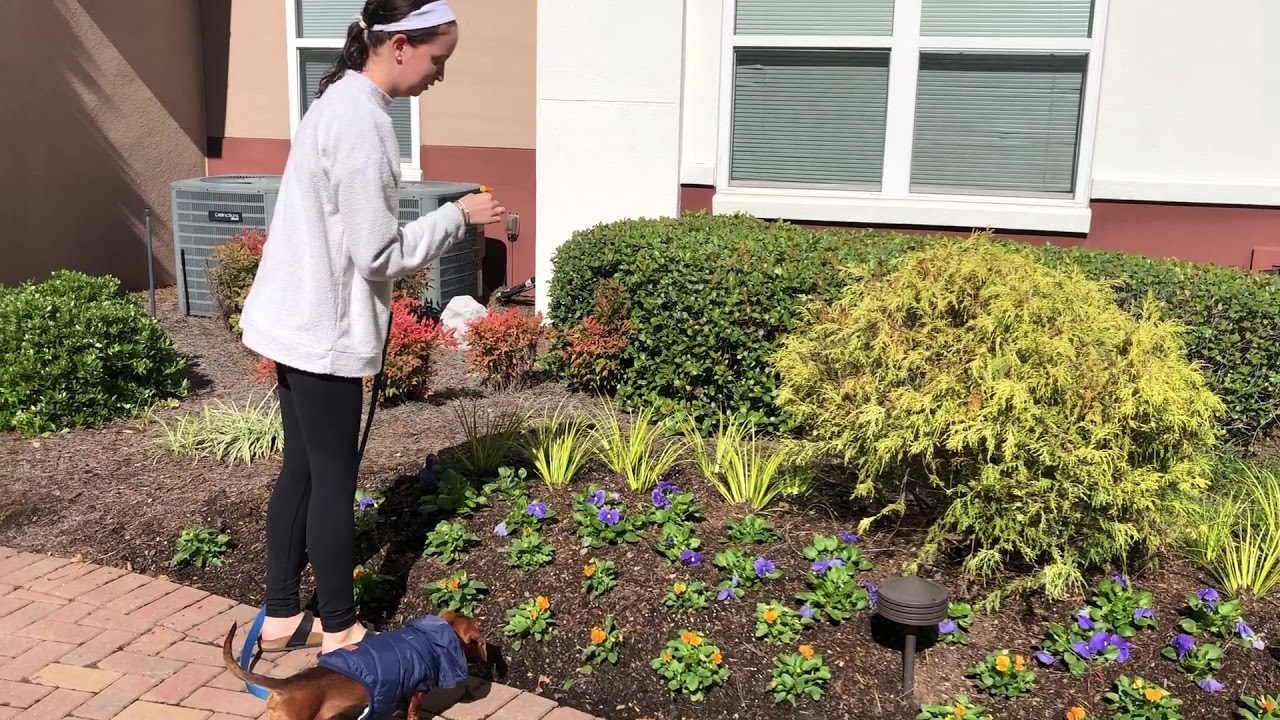 APRN Provider  of  the Future