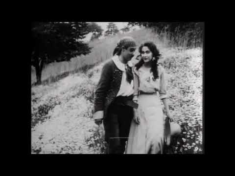 What the Daisy Said — trailer
