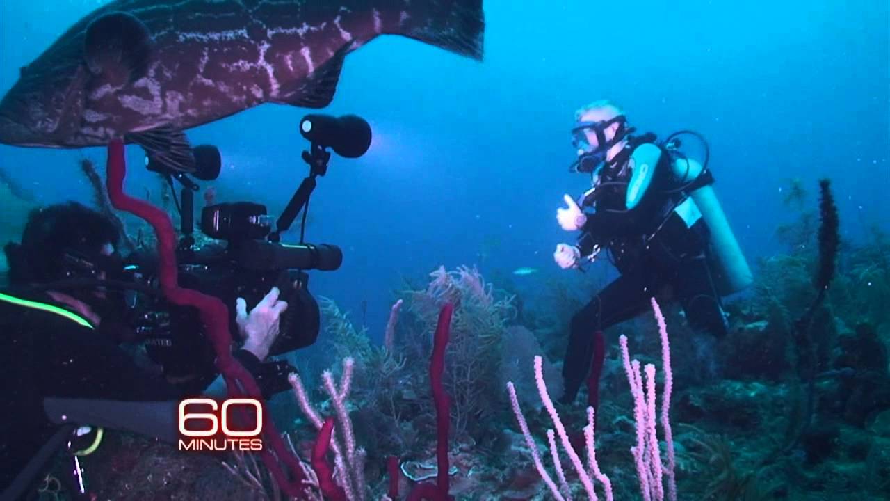 reporting-from-90-feet-below-youtube