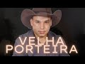 Velha porteira  davi sertanejo