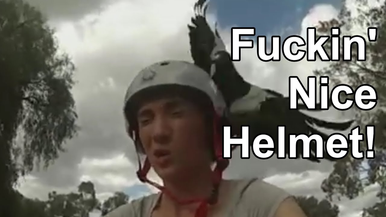 Woman Vs Magpie with Commentary! - YouTube