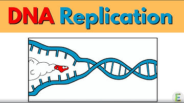 DNA REPLICATION EXPLAINED IN 60SECONDS | Fun Animation!