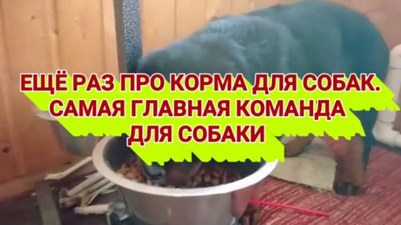 Когда вест за кормой