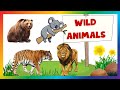 Wild Animals for Kids | 50 Animals Learning Video 🌈#animalsvideo  #kids 