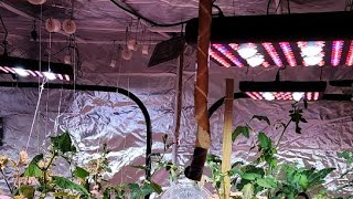 XCON JOHN is live!