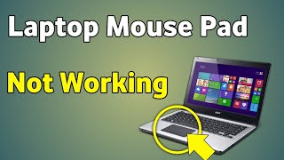 Laptop Mouse Pad Not Working Windows 10 | How To Fix Laptop Mouse Pad Not Working