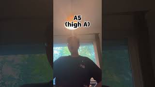 An attempt at high notes G5/A5…🌚#belcanto #tenor #highnotechallenge #voicetraining