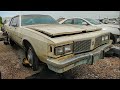 She should have been saved. 1984 Oldsmobile Delta 88 Royale Junkyard Find