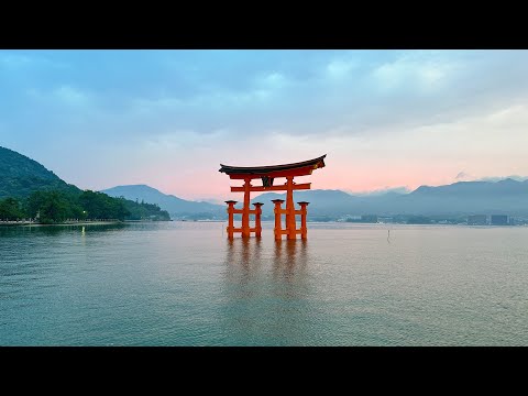 Video: Le migliori cose da fare a Miyajima