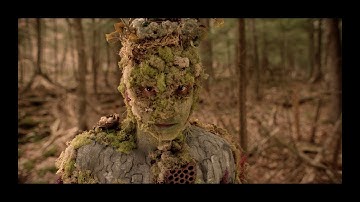 Token - Treehouse (Official Music Video)