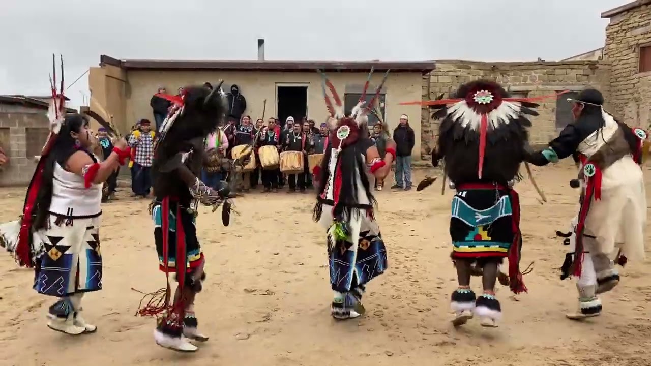 Hopi Buffalos 1/1/23