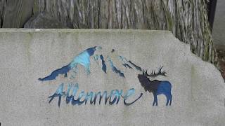 2605 S  Cedar St  #504 Tacoma, Wa  98405