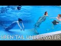 Siren Mermaid Tail Test Swim