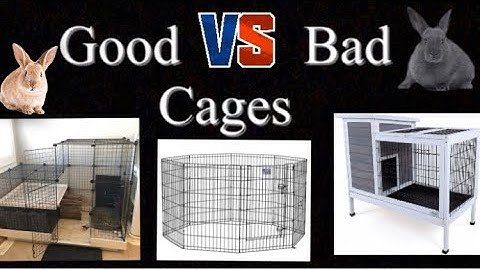 Good VS Bad Rabbit Cages.     Bunny Love