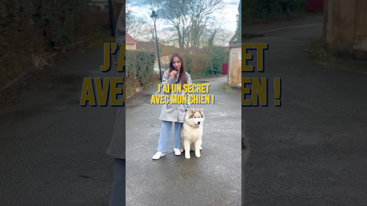 Ce calendrier du chien est l’aboutissement d’un an de travail, on espere qu’il vous plaira♥️ ✨#chien