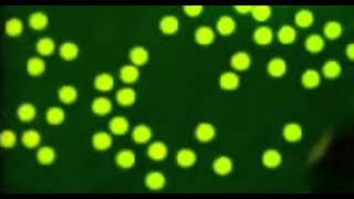[FIRST VIDEO] Carmike Cinemas (1992-1996) [IMP-0001]
