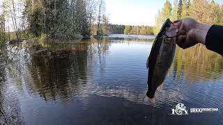 Avovesikauden avaus Keski-Kymellä