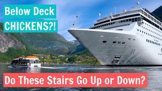 Ridiculous Things Overheard on a Cruise!