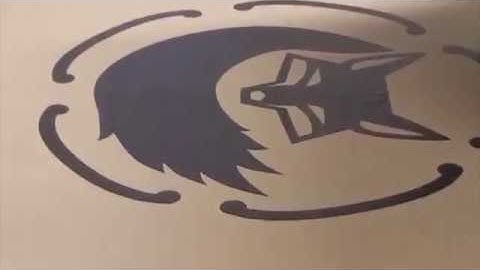 Custom Screen Printing The Flag