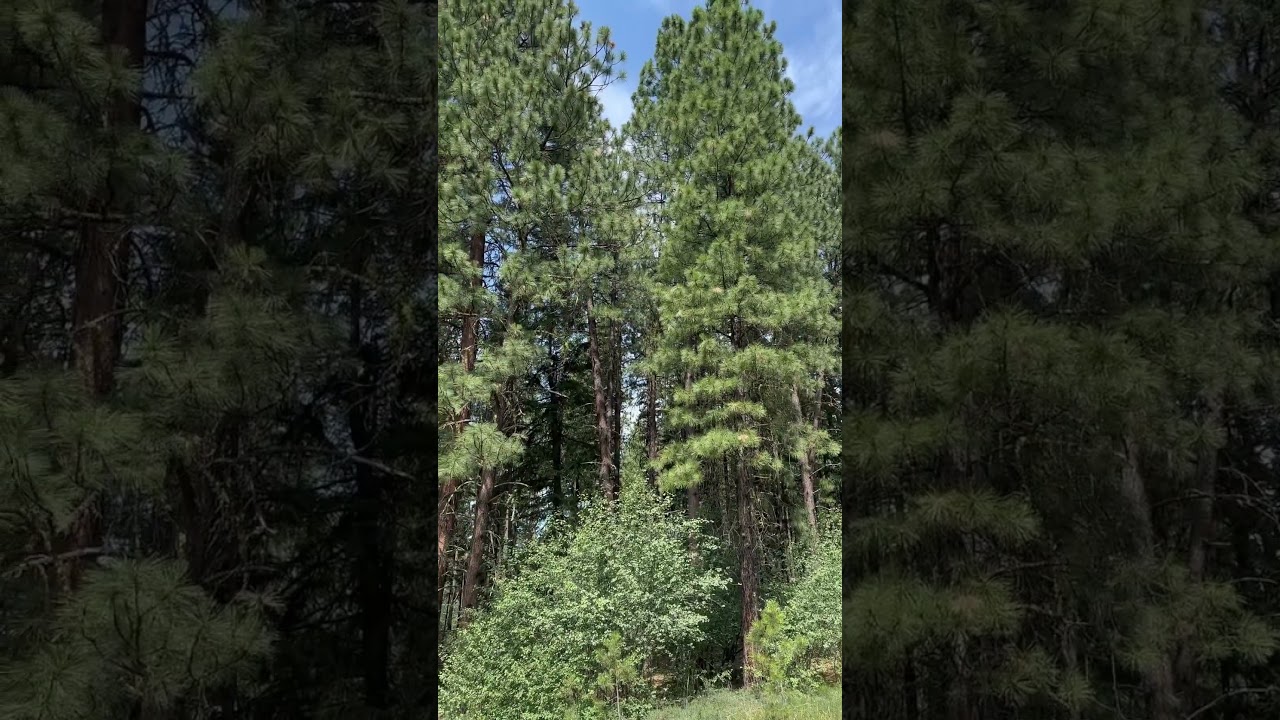 Winthrop Washington state USA 