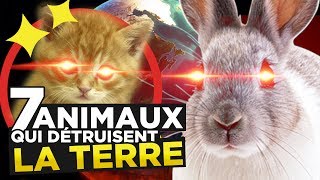 7 ANIMAUX QUI DÉTRUISENT LA TERRE