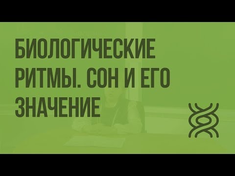 Видео: Биологические ритмы: типы, расстройства и методы лечения