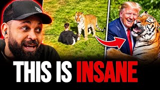 Information Man KILLED by TIGER… Then Trump Posts THIS AI VIDEO Guide
