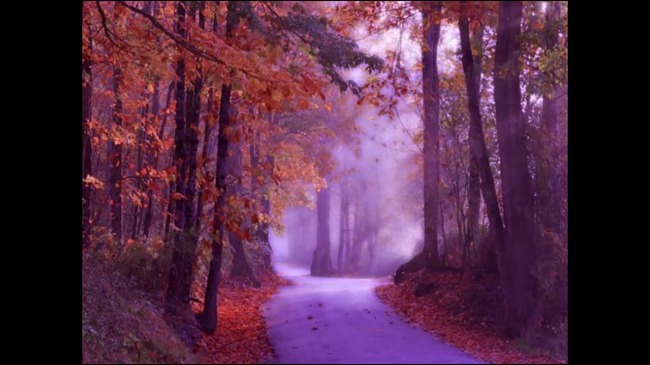 Pitture di artisti famosi YouTube