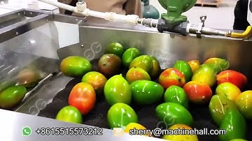 Mango Sorting And Grading Machine