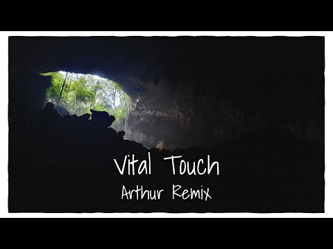 Dudz | Vital Touch (Arthur Remix)