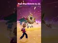 torchic vs rouge mega hawlucha