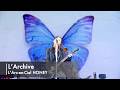 L'Archive|HONEY