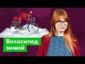 Зимой на велосипеде / Дарья Беседина