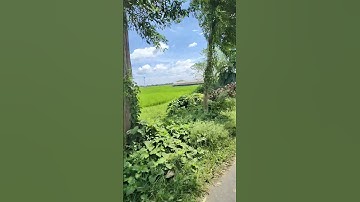 #song #bollywood #hindisong #music #viral #vlog