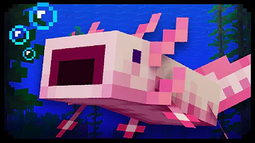 ✔ 18 Things You Didn't Know About Axolotls in Minecraft