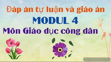 Đáp án tự luận, giáo án modul 4 môn Giáo dục công dân. Trong video có hướng dẫn cách tải bản word về