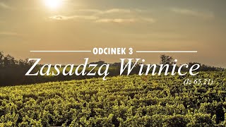 Zasadzą Winnice (Iz 65,21) odc.3