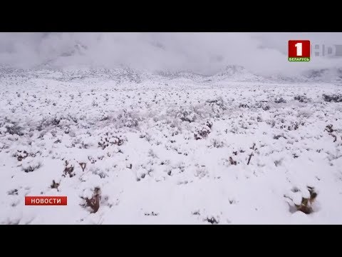 Видео: Флагстафф выпал снег?