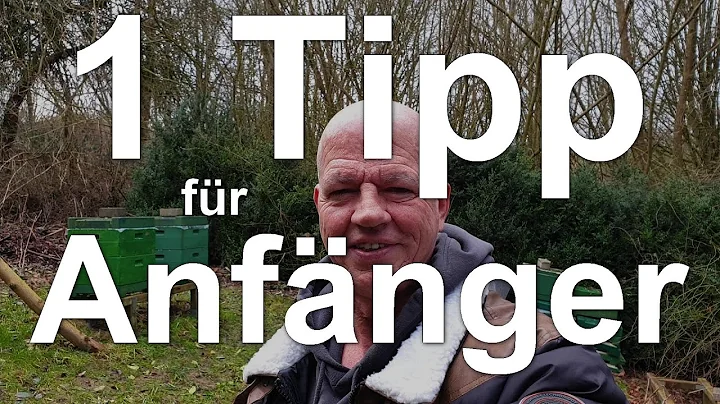 Ein Tipp fr Anfnger Imker! Fangt einfach an - Bien...