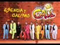 Grupo cali  telenovela