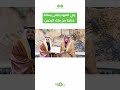ولي العهد يتلقى رسالة خطية من ملك البحرين 